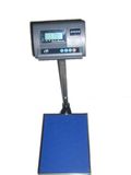 Digital Platform Scale (TCS-A1)