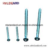 Safety Screw / Screw