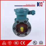 Explosion Proof AC Electric Motor