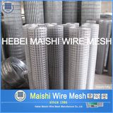 Galvanized / PVC Coated Welded Wire Mesh