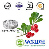 Free Sample Bearberry Extract, Arbutin, Alpha Arbutin, Alpha Arbutin Powder, Beta Arbutin