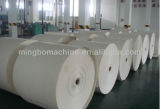 Grade AA Double PE Coated Paper Material for Cups