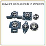 Chemical Machinery Bearing Pillow Block Bearing (UCP206)