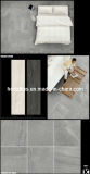 Competitive Price Super Quality for Ceramic Wall or Floor Tiles/Ceramic Tiles/Porcelain Tiles (2737)