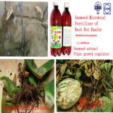 Seaweed Microbial Flush Fertilizer of Root Protective Agent (liquid)