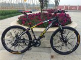 Hot 26 Size MTB/ Mountain Bike/Bicycle with Suspension Fork (AFT-MB-051)