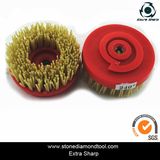 Snail Lock Diamond Steel Abrasive Brush