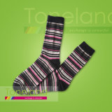 Women Multi-Striped Normal Socks (WNE0042)