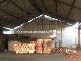 High Quality Copper Scrap for Sale (DH-081)