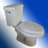 High Quality One Piece Toilet for USA Market