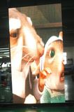 P6 Module Indoor LED Screen