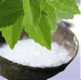 Plant Extract Stevia Sugar