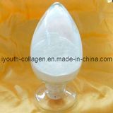 CPP (casein phosphopeptides)