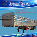 Tri-Axle Van Cargo Trailer with High Quality