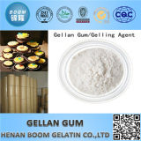 Hot Selling High Purity Low Acyl /High Acyl Gellan Gum