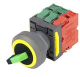 Push Button Switch (A-155)