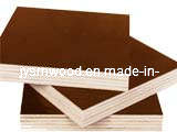 Brown Film Faced Plywood Timber