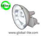 (FL-3102) Flood Light with Induction Lamp