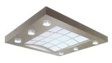 Lighting Ceiling (ALS-LC024)