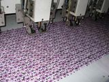 Multicolor Chenille Embroidery Machine (RPMCS)