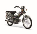 Motorcycle (BRG70 BEE)