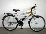 Africa Model Bicycle with ED Parts (SH-MTB092)