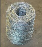 Hot Dipped Galvanized Barbed Wire Mesh