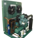 15 HP Outdoor Condensing Unit, Bitzer Air-Cooled Condensing Unit, Bitzer Double Stage