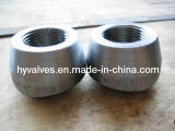 Forged Steel Thrd Outlet-Threadolet