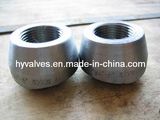 Forged Steel Thrd Outlet-Threadolet