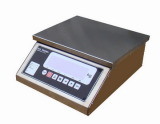 Big Capacity Weighing Scale (W1)