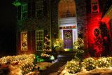 2016 New Elf Lights/Garden Laser Light/Outdoor Christmas Laser Lights/Outdoor Decoration