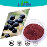 Black Goji Berry Extract/Black Wolfberry Extract Powder