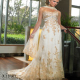 Prom Dress / Evening Dress / Fashion Dress (Ev-059)