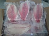 Frozen Red Tilapia Fillet