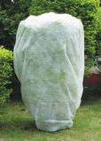 PP Non-Woven Product for Garden Protecting and Agriculture