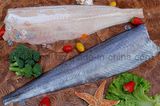 Blue Whiting Fillet