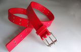 Fashion PU Belt for Women's Garments (GC2012252)