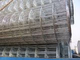 Welded Wire Mesh