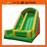 Inflatable Mini Dual Lane Slide (FLS-273)