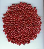 Dark Red Kidney Beans