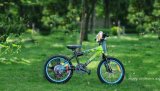 20 Inch BMX Style Children Bike