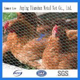 Chicken Raise Hexagonal Wire Mesh