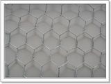 Hexagonal Wire Mesh