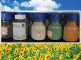 Flower / Plants Fertilizers