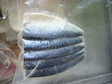 Frozen IQF Mackerel Fillet, Mackerel, Mackerel Fish