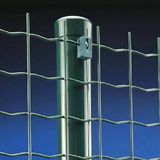 Holland PVC Coated Wire Mesh Protect Fence Netting