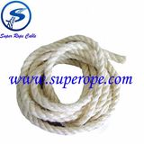 Sisal Rope