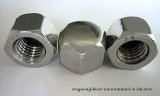 DIN917 Stainless Steel Hexagon Cap Nuts for Industry