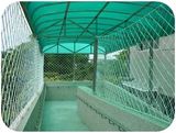 Plastic Netting